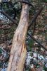 dsc_7391.jpg